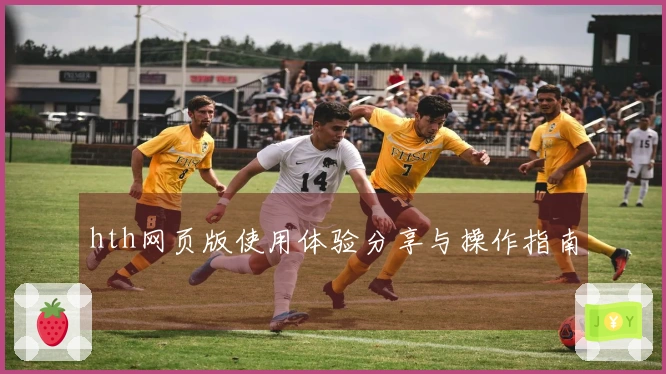 hth网页版使用体验分享与操作指南